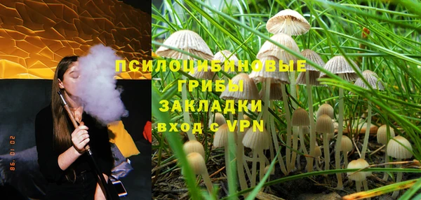 прущий лед Алексин