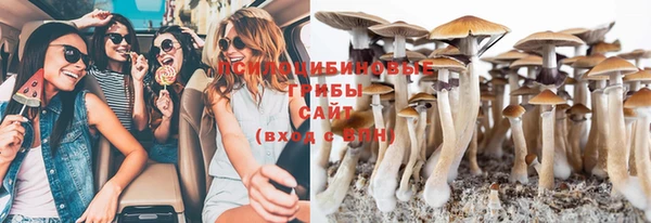 соль курить ск Алзамай