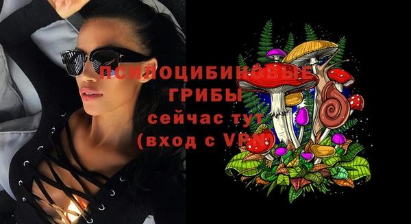 дживик Алексеевка