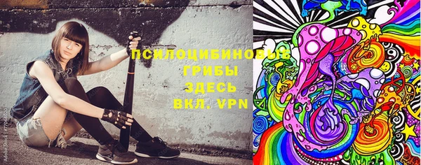 дживик Алексеевка