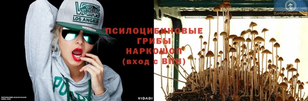 соль курить ск Алзамай